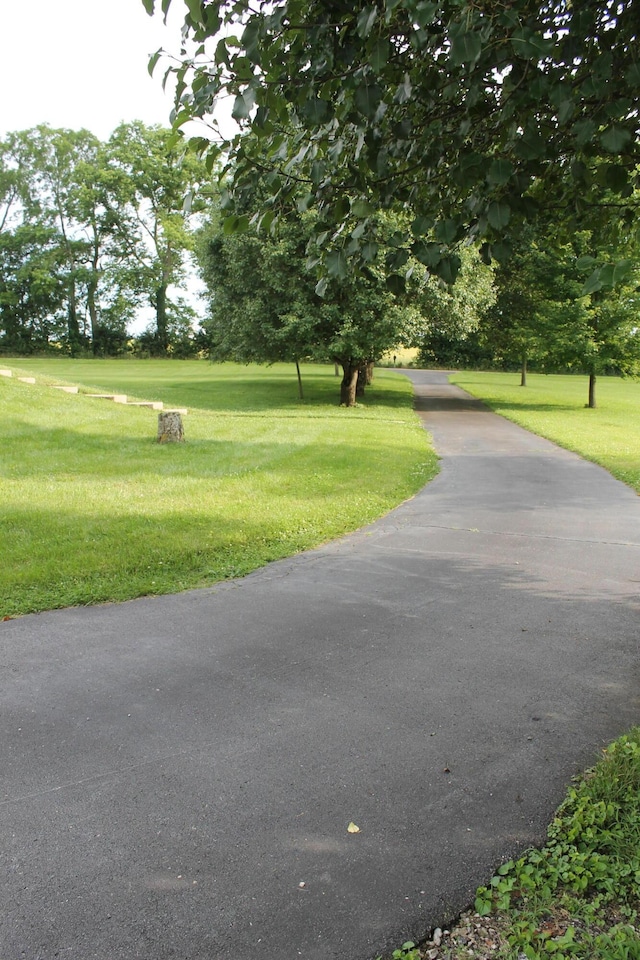 5515 Van Meter Rd, Winchester, KY 40391 - view of community with a yard and view of scattered trees