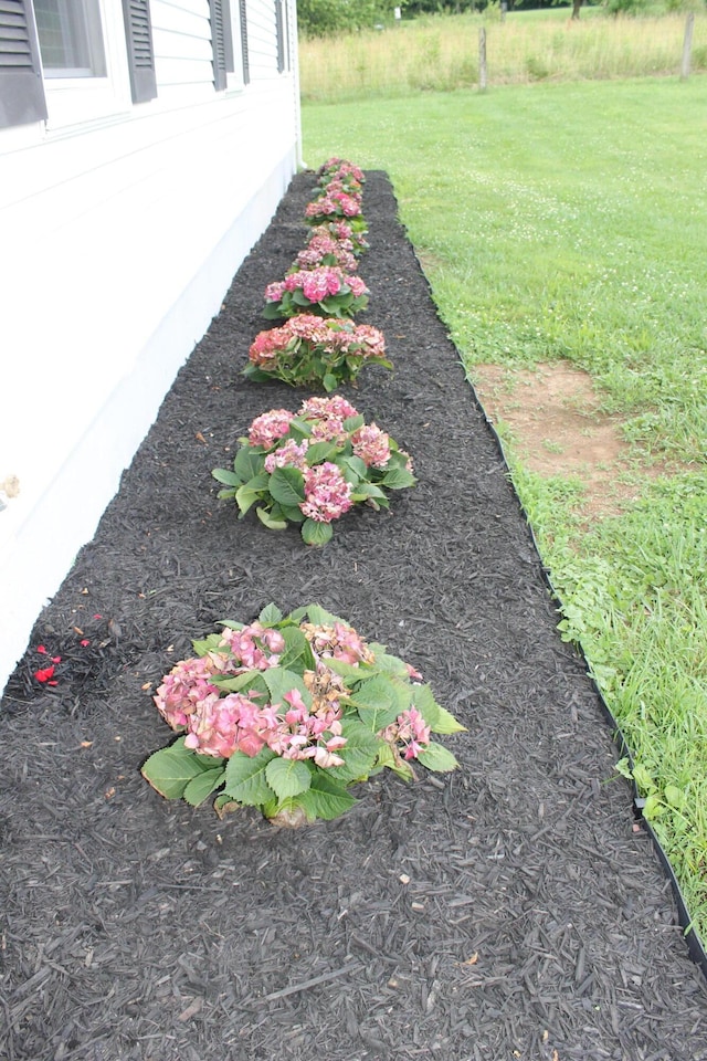 5515 Van Meter Rd, Winchester, KY 40391 - view of green lawn
