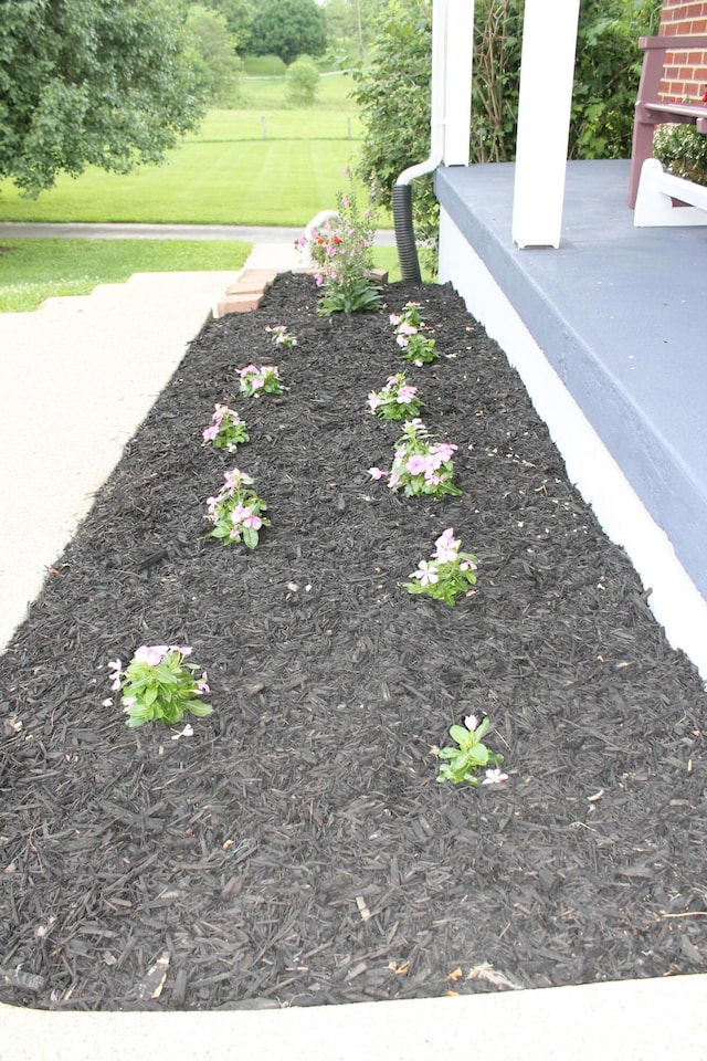 5515 Van Meter Rd, Winchester, KY 40391 - view of yard