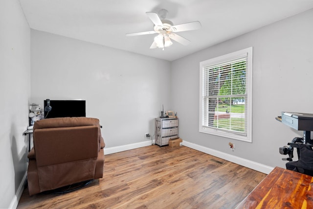 313 Man O War Ct, Lawrenceburg, KY 40342 - living area with wood finished floors and ceiling fan