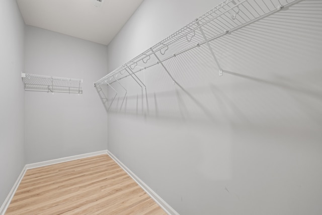 1152 Leanndra Park, Lexington, KY 40511 - walk in closet featuring wood finished floors