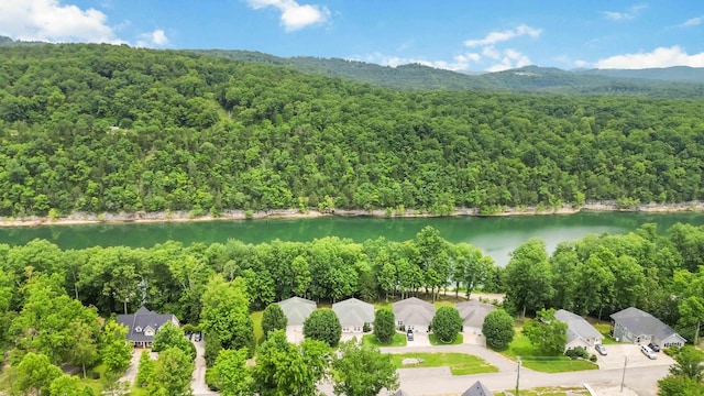 2394 Roberts Bend Rd, Burnside, KY 42519 - aerial view of a heavily wooded area and a large body of water