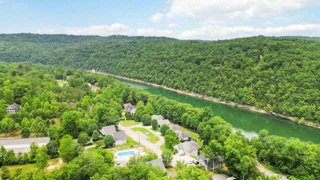 2394 Roberts Bend Rd, Burnside, KY 42519 - drone / aerial view of a forest and a nearby body of water
