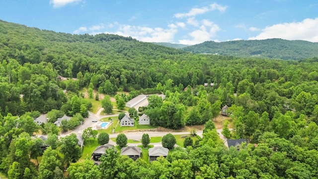 2394 Roberts Bend Rd, Burnside, KY 42519 - bird's eye view of a forest