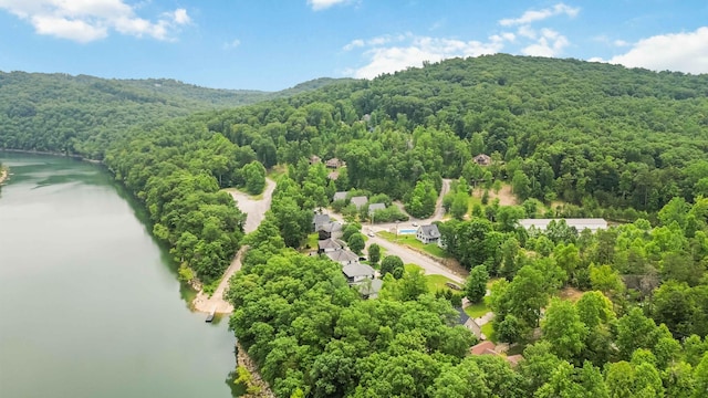 2394 Roberts Bend Rd, Burnside, KY 42519 - drone / aerial view of a heavily wooded area and a large body of water