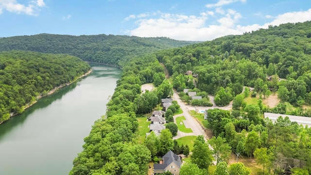 2394 Roberts Bend Rd, Burnside, KY 42519 - drone / aerial view of a large body of water and a heavily wooded area