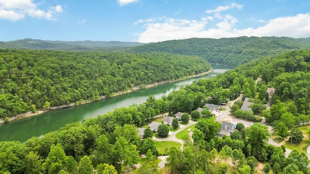 2394 Roberts Bend Rd, Burnside, KY 42519 - bird's eye view of a heavily wooded area and a nearby body of water