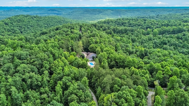 2394 Roberts Bend Rd, Burnside, KY 42519 - bird's eye view of a heavily wooded area