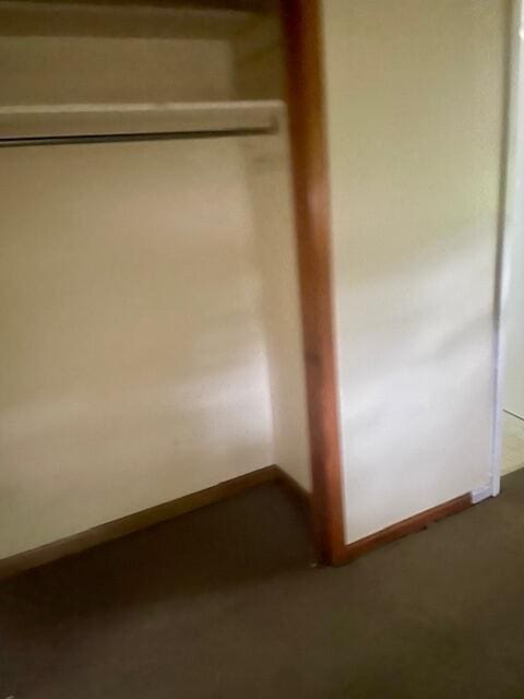 406 Forrest Dr, Lawrenceburg, KY 40342 - view of closet