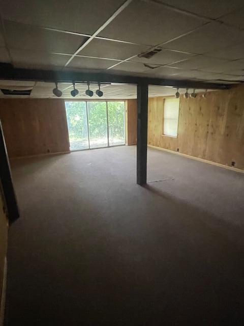 406 Forrest Dr, Lawrenceburg, KY 40342 - below grade area featuring wood walls and a paneled ceiling
