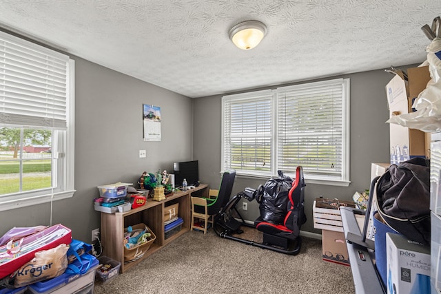 215 New Dixville Rd, Harrodsburg, KY 40330 - carpeted home office featuring a textured ceiling