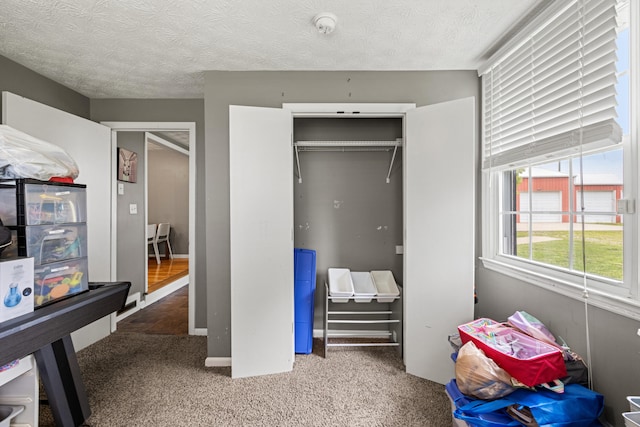 215 New Dixville Rd, Harrodsburg, KY 40330 - bedroom featuring a closet, carpet flooring, and a textured ceiling