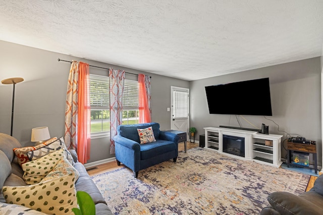 215 New Dixville Rd, Harrodsburg, KY 40330 - living area with wood finished floors and a textured ceiling