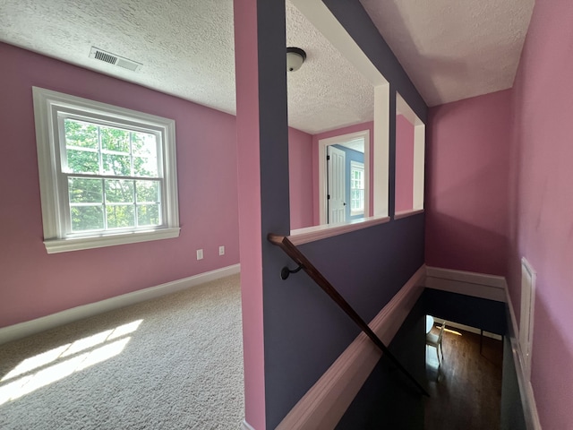 8585 Troy Pike, Versailles, KY 40383 - stairs with a textured ceiling and carpet flooring