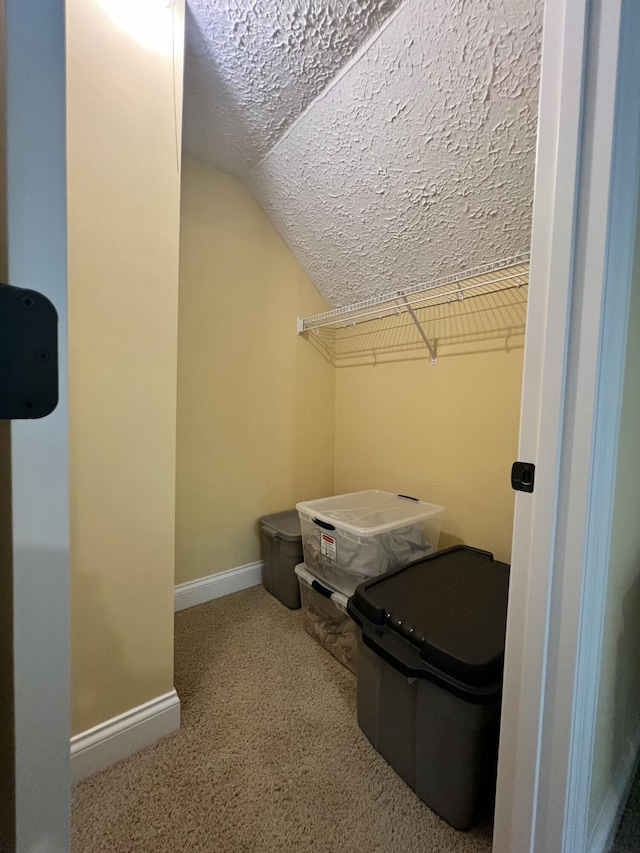 8585 Troy Pike, Versailles, KY 40383 - spacious closet with lofted ceiling and carpet