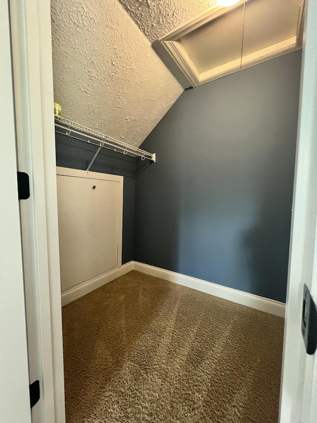 8585 Troy Pike, Versailles, KY 40383 - spacious closet with vaulted ceiling and carpet floors