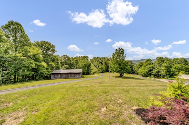 72 Blevins Ln, Vanceburg, KY 41179 - view of green lawn