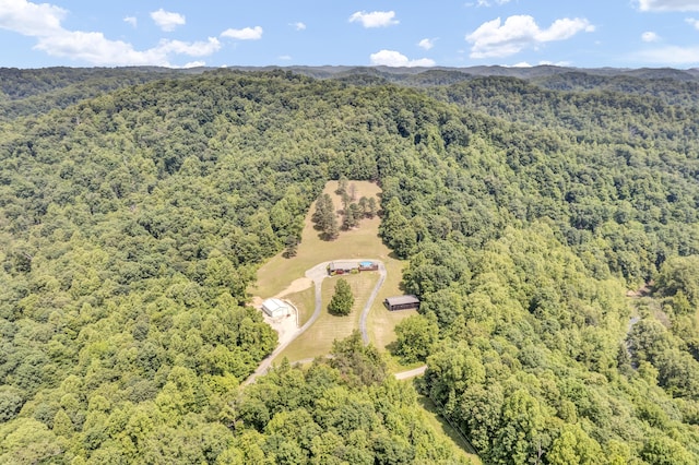 72 Blevins Ln, Vanceburg, KY 41179 - bird's eye view of a forest