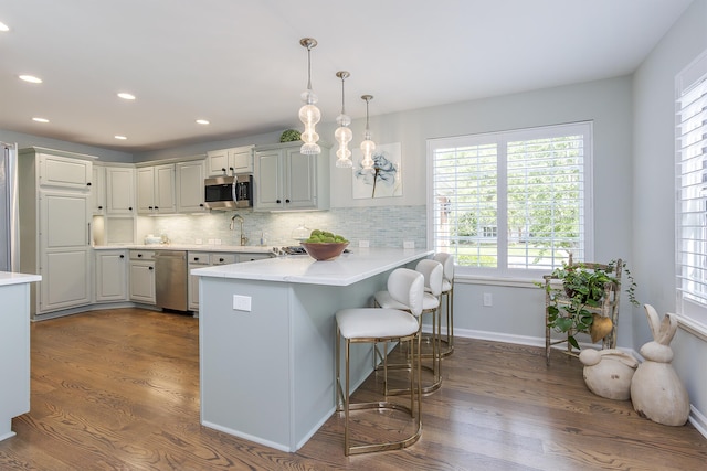 1107 Zoeller Ct, Lexington, KY 40511 - kitchen featuring appliances with stainless steel finishes, a peninsula, dark wood-type flooring, recessed lighting, and light countertops