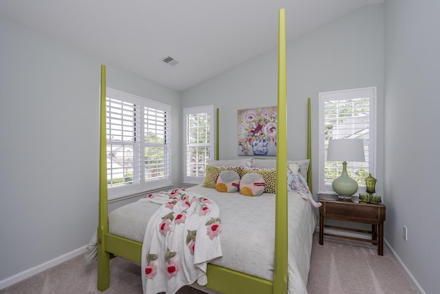 1107 Zoeller Ct, Lexington, KY 40511 - bedroom featuring vaulted ceiling, carpet, and multiple windows