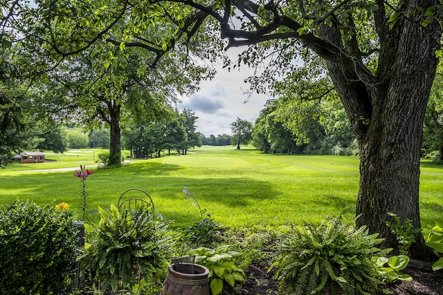 1107 Zoeller Ct, Lexington, KY 40511 - view of grassy yard with view of wooded area