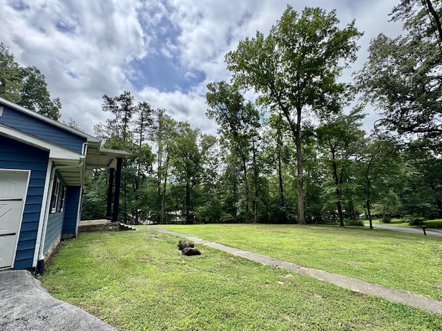 190 Keeneland Trl, Corbin, KY 40701 - view of green lawn