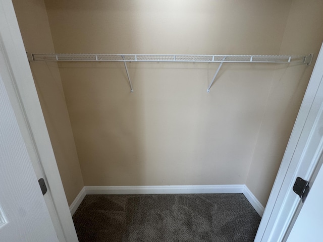 1459 Kit Cowan Rd, Somerset, KY 42501 - view of closet