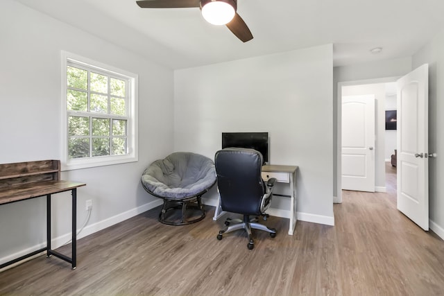 168 Kentucky Ln, Pine Knot, KY 42635 - home office with wood finished floors and a ceiling fan