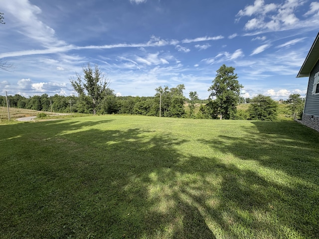 168 Kentucky Ln, Pine Knot, KY 42635 - view of grassy yard