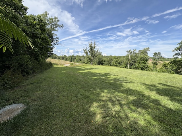 168 Kentucky Ln, Pine Knot, KY 42635 - view of grassy yard