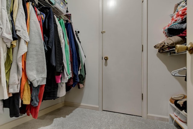 109 Quail Ridge Rd, Winchester, KY 40391 - walk in closet featuring carpet