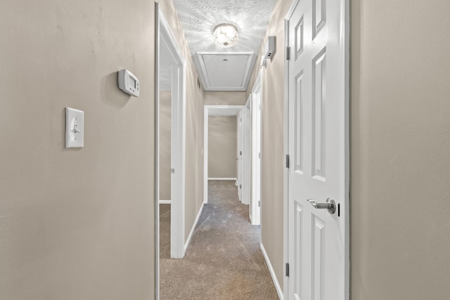 3848 Mcgarry Dr, Lexington, KY 40514 - hall with carpet and baseboards