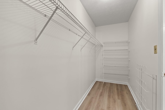 1048 Vero Ct, Lexington, KY 40509 - walk in closet with wood finished floors