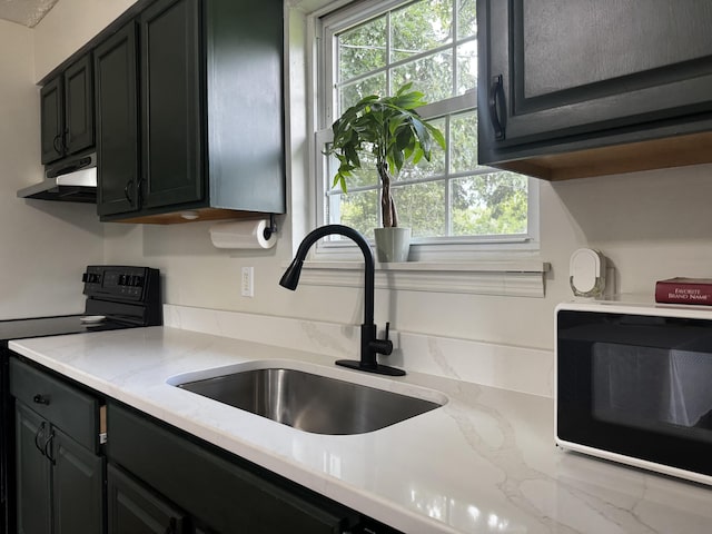 109 Creekstone Ct, Frankfort, KY 40601 - kitchen with black electric range oven, under cabinet range hood, and light stone countertops