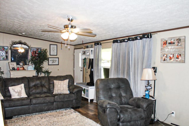 610 Freeman Branch Rd, East Bernstadt, KY 40729 - living room with ornamental molding, a ceiling fan, and wood finished floors