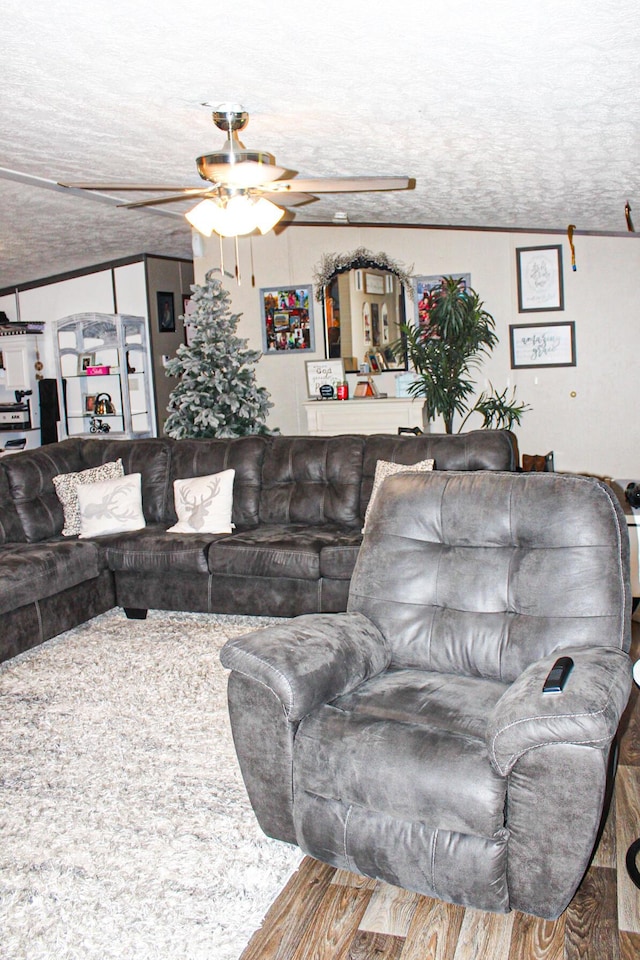 610 Freeman Branch Rd, East Bernstadt, KY 40729 - living room with ceiling fan, a textured ceiling, and ornamental molding