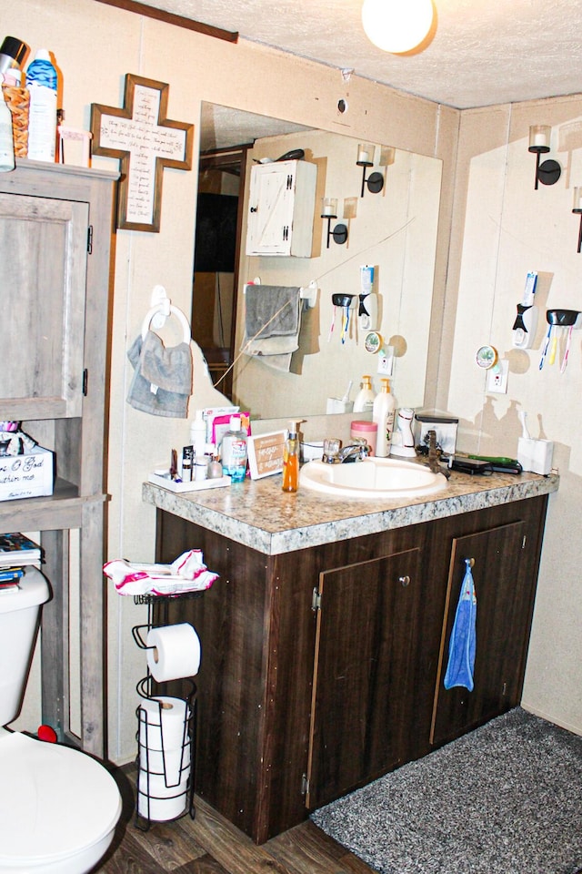 610 Freeman Branch Rd, East Bernstadt, KY 40729 - bathroom featuring vanity, wood finished floors, and a textured ceiling