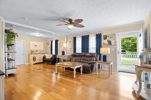 1809 Pine Top Rd, London, KY 40741 - living room with a textured ceiling, a ceiling fan, light wood finished floors, and ornamental molding