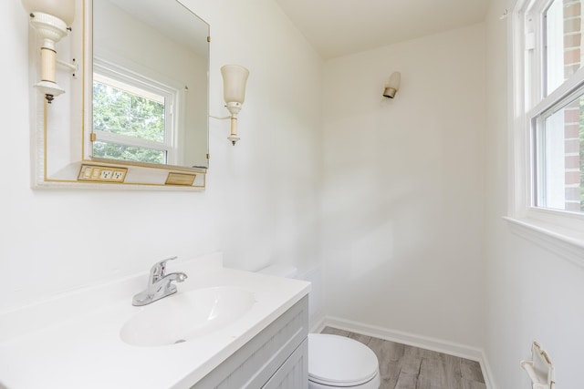 139 Tartan Dr, Lexington, KY 40517 - bathroom with vanity, plenty of natural light, and wood finished floors