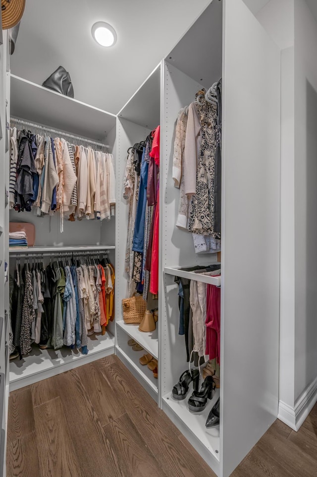 1912 Tidewater Flt, Lexington, KY 40509 - walk in closet with wood finished floors