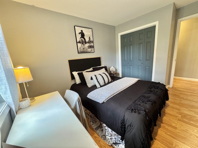 120 Lanetown Rd, Nancy, KY 42544 - bedroom featuring light wood finished floors and a closet