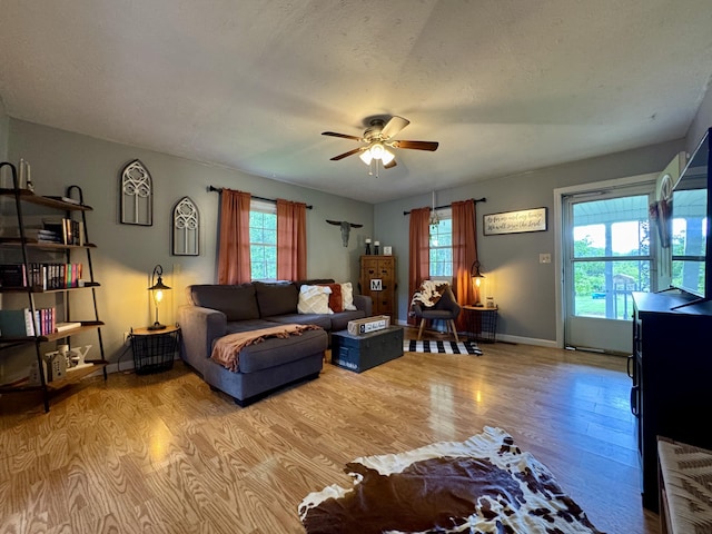 120 Lanetown Rd, Nancy, KY 42544 - living room with wood finished floors and a ceiling fan