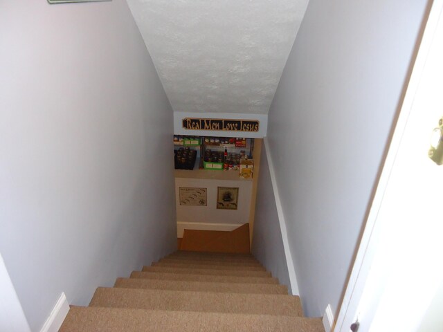 407 Autumn Dr, Lancaster, KY 40444 - stairway featuring carpet flooring and a textured ceiling