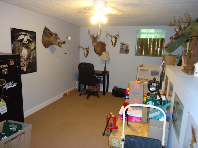 407 Autumn Dr, Lancaster, KY 40444 - office featuring ceiling fan, a textured ceiling, and carpet