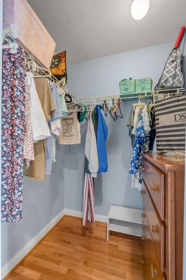 315 The Woods Ln, Winchester, KY 40391 - spacious closet featuring light wood finished floors