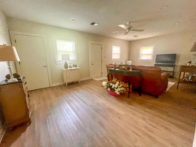 1185 Oak Ridge Rd, Corbin, KY 40701 - living area featuring wood finished floors, plenty of natural light, a ceiling fan, and a textured ceiling