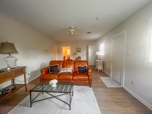 1185 Oak Ridge Rd, Corbin, KY 40701 - living room featuring ceiling fan and light wood-type flooring