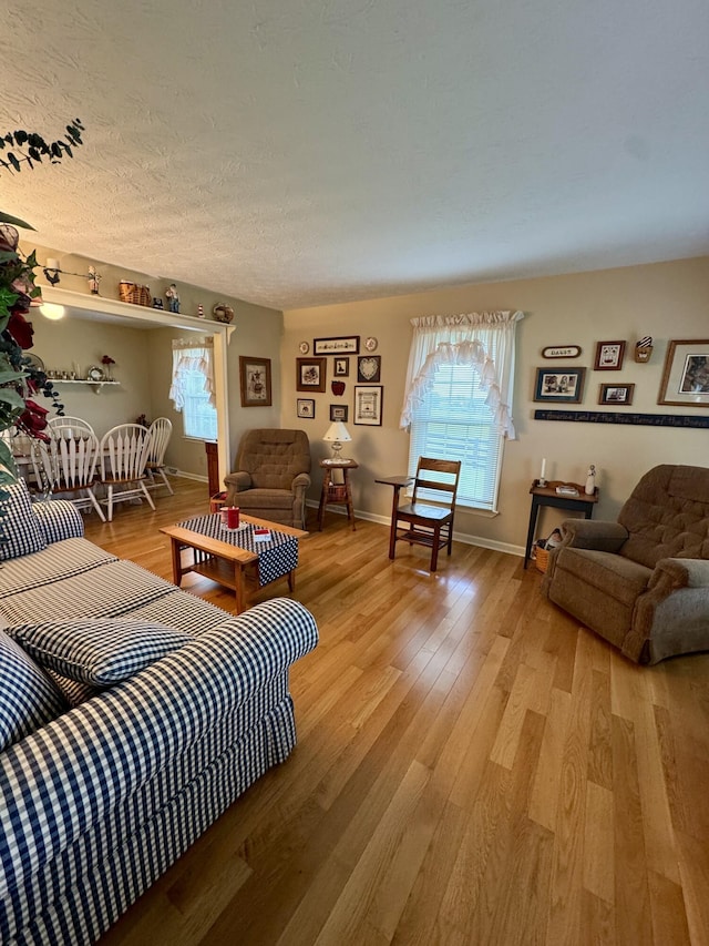 4295 Vince Rd, Nicholasville, KY 40356 - living area featuring plenty of natural light, light wood-style flooring, and a textured ceiling