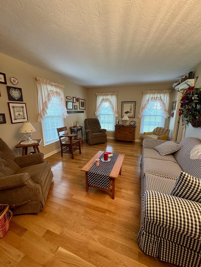 4295 Vince Rd, Nicholasville, KY 40356 - living room featuring a textured ceiling and light wood-style flooring
