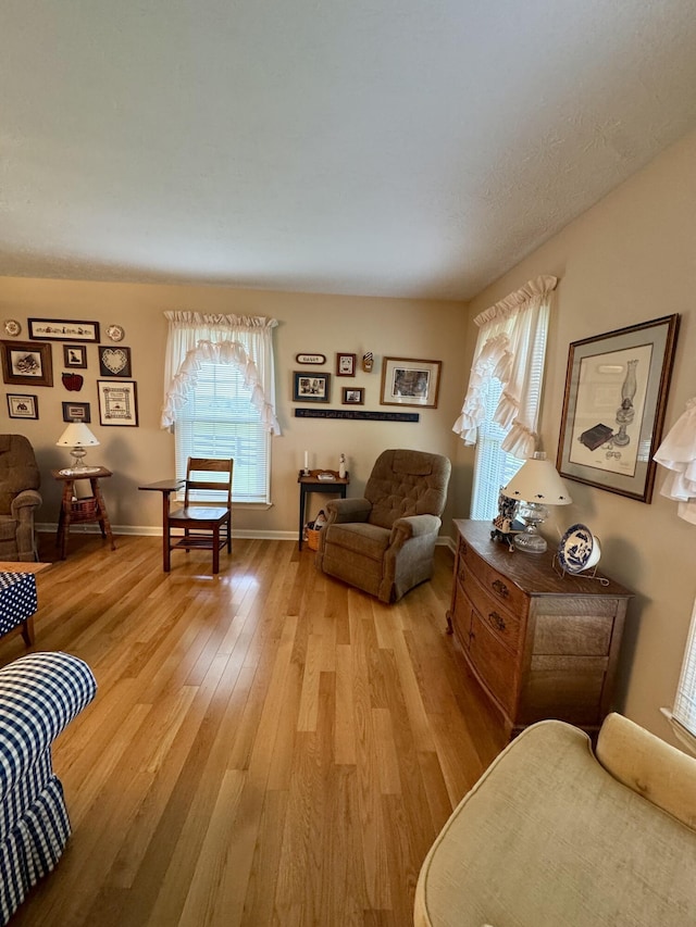4295 Vince Rd, Nicholasville, KY 40356 - living area with light wood-style flooring and baseboards